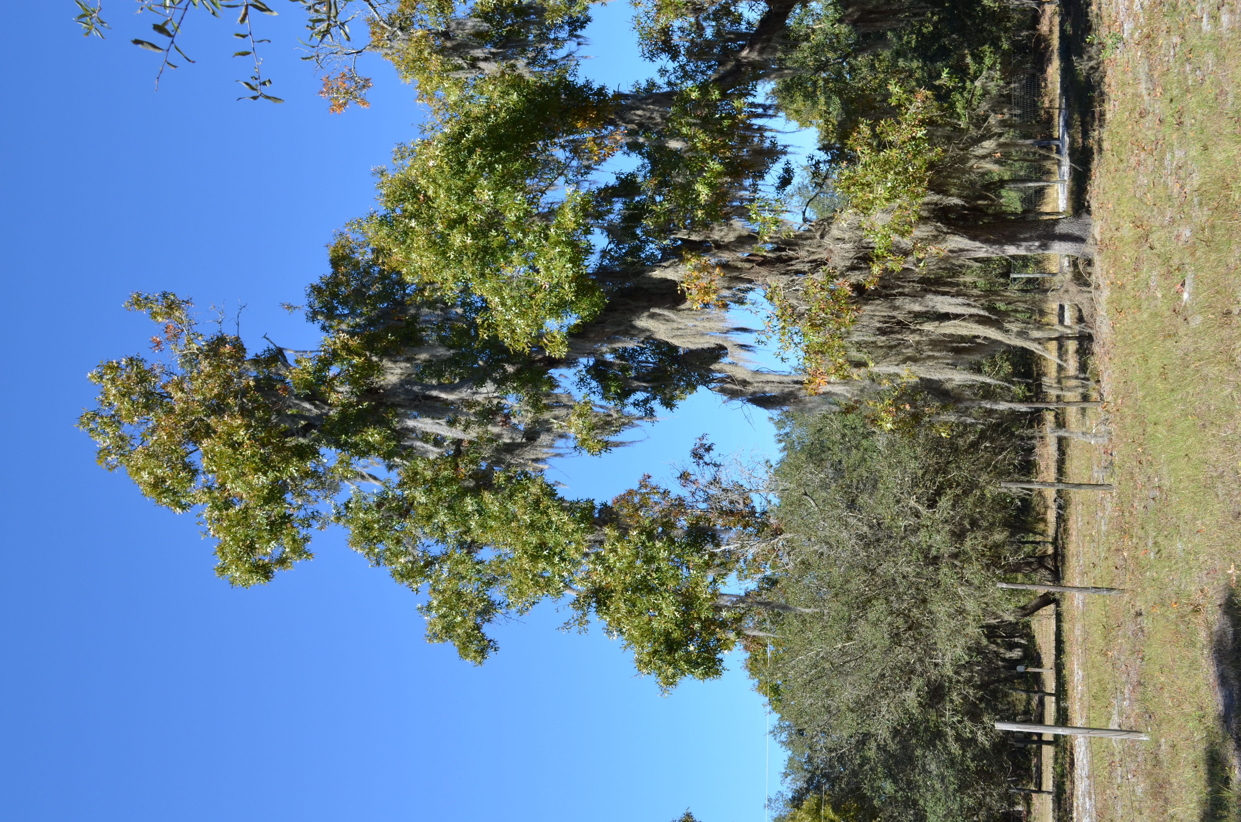 ./2016/24 - Miami/DSC_0301.JPG